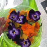 Flores comestibles Violas
