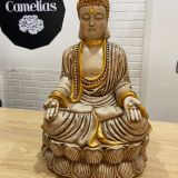 Buda meditacion