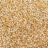 Semillas de Quinoa Blanca prelavada (desaponificada)